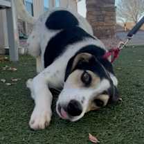 Thumbnail photo of Peter #2