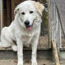 Thumbnail photo of Cloud #1