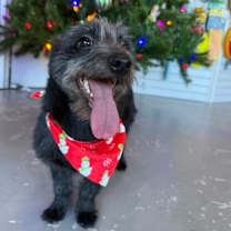 Thumbnail photo of Luna #1