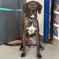 Thumbnail photo of Tarzan #2