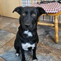 Thumbnail photo of Cinder #1