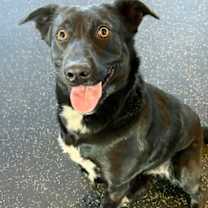 Thumbnail photo of Cinder #2