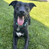 Thumbnail photo of Cinder #3