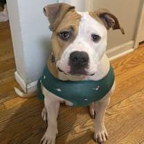 Thumbnail photo of Lulu #1