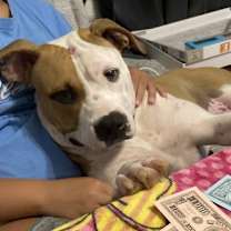 Thumbnail photo of Lulu #2