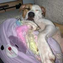 Thumbnail photo of Lulu #4