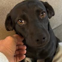 Thumbnail photo of Makayla #1