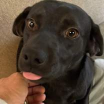 Thumbnail photo of Makayla #2