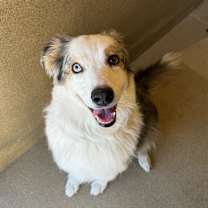 Thumbnail photo of Jackie #3