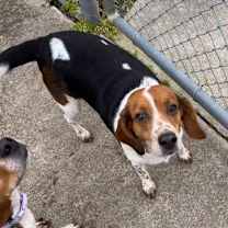 Thumbnail photo of Molly  #3