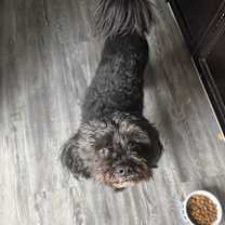 Thumbnail photo of Logan Wolverine #1