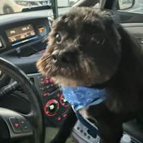 Thumbnail photo of Logan Wolverine #2