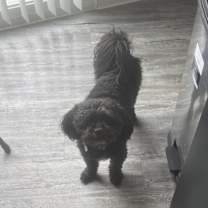 Thumbnail photo of Logan Wolverine #3