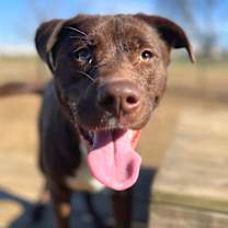 Thumbnail photo of Dumbo #3