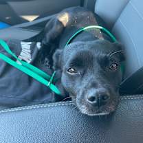 Thumbnail photo of Mr. Beans #1