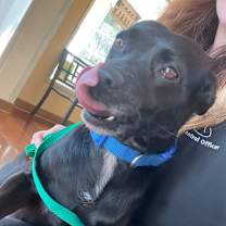 Thumbnail photo of Mr. Beans #2