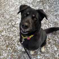 Thumbnail photo of Kodak #1