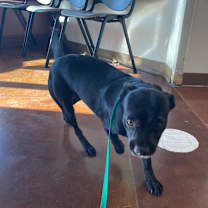 Thumbnail photo of Mr. Beans #3