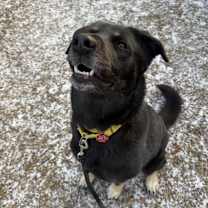 Thumbnail photo of Kodak #2