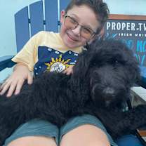 Thumbnail photo of Sirius #1