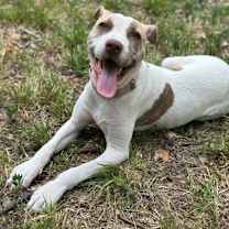 Thumbnail photo of Shara #1