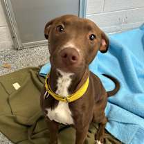 Thumbnail photo of Lady #1