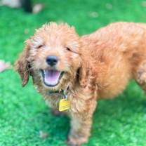 Thumbnail photo of Vega #3