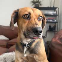 Thumbnail photo of Carmela #1