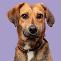 Thumbnail photo of Carmela #3