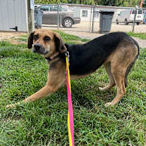 Thumbnail photo of Carmela #4