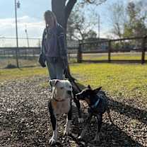 Thumbnail photo of Rusty the playtime peanut #3