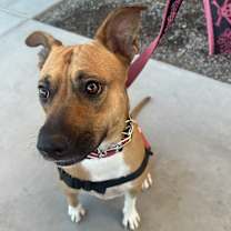 Thumbnail photo of Katie #2