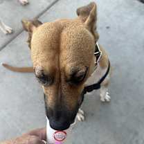 Thumbnail photo of Katie #3