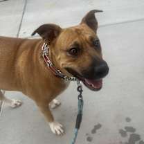 Thumbnail photo of Katie #4