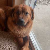 Thumbnail photo of Finn #2