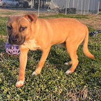 Thumbnail photo of Grayson #3