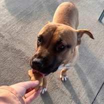 Thumbnail photo of Grayson #4