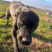 Thumbnail photo of Madison #2