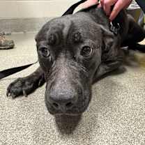 Thumbnail photo of Madison #4