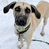 Thumbnail photo of Angie #2