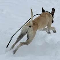 Thumbnail photo of Angie #3