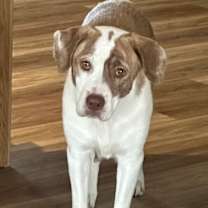 Thumbnail photo of Big Mama #2