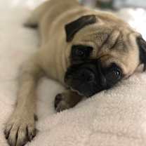 Thumbnail photo of Jetson #3