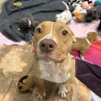 Thumbnail photo of Moon #2