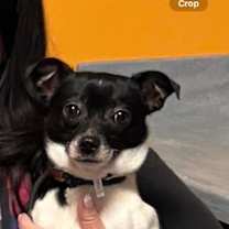 Thumbnail photo of Winter #1