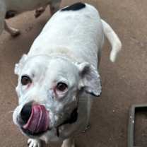 Thumbnail photo of Muggs #1