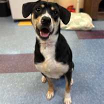 Thumbnail photo of 25-1130 Martin #1