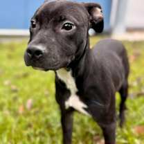 Thumbnail photo of Ruthie #1