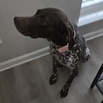 Thumbnail photo of Emma #2