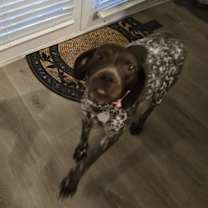 Thumbnail photo of Emma #3